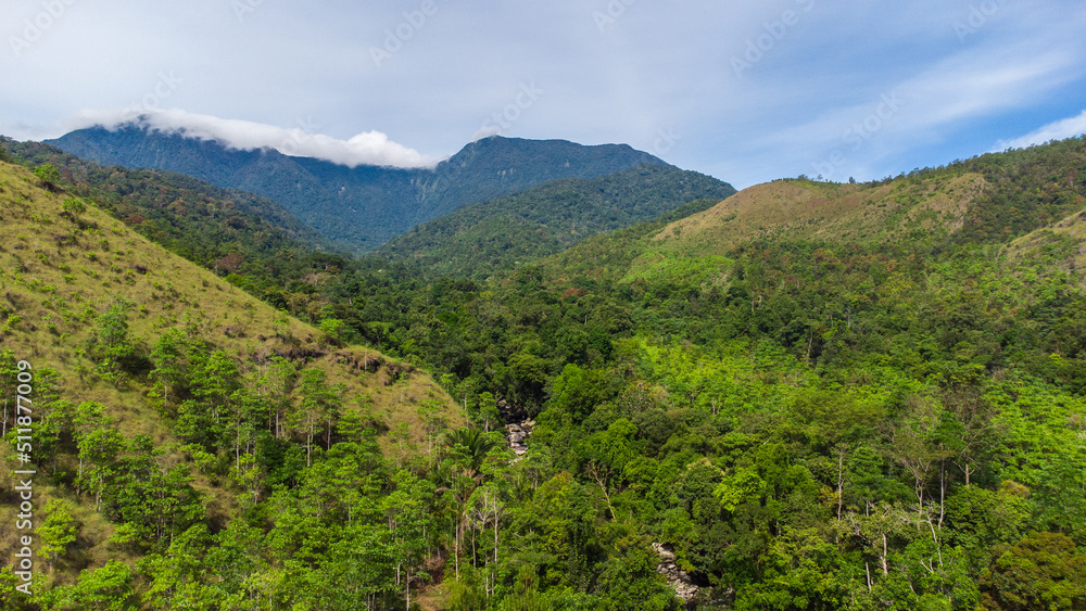 Aerial view of tropical forest in Aceh, Indonesia.