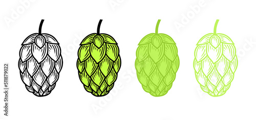 Engraved hop cone set. Black and color hops vector flat illustration or icon isolated on white background.