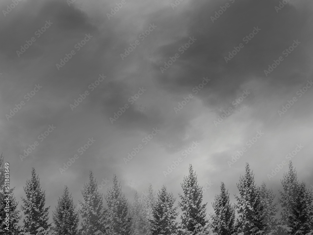 Monochrome suspicious horror forest and cloudy sky