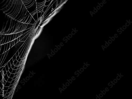Fotografiet Spider web graphic material