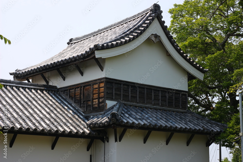 緑に囲まれた福岡城跡。石垣や塀などの歴史的建造物。福岡城は舞鶴公園と大濠公園にある。日本、福岡県