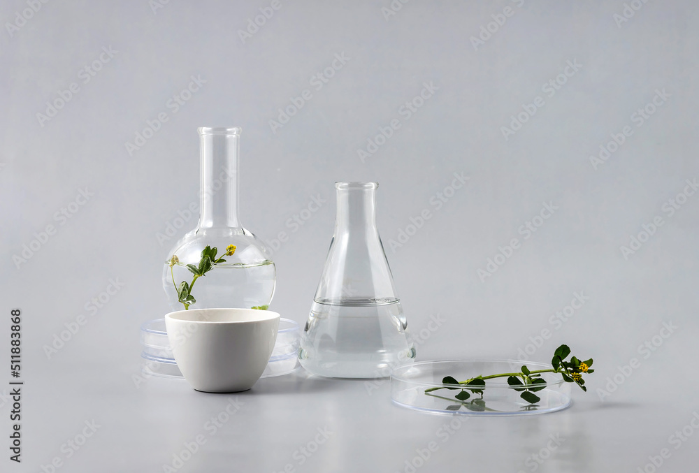 laboratory utensils, flasks with solution and leaves on a gray background. the concept of natural cosmetics and herbal medicine laboratory utensils, flasks with solution and leaves on a gray background. the concept of natural cosmetics and herbal medicine