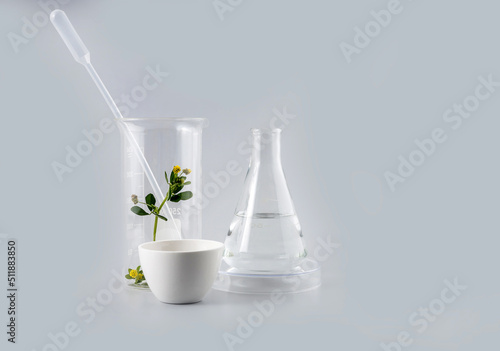 laboratory utensils, flasks with solution and leaves on a gray background. the concept of natural cosmetics and herbal medicine
