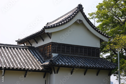 緑に囲まれた福岡城跡。石垣や塀などの歴史的建造物。福岡城は舞鶴公園と大濠公園にある。日本、福岡県