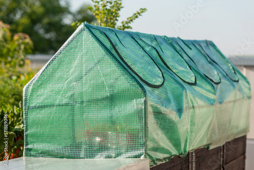 Canvastavla Mini greenhouse for home