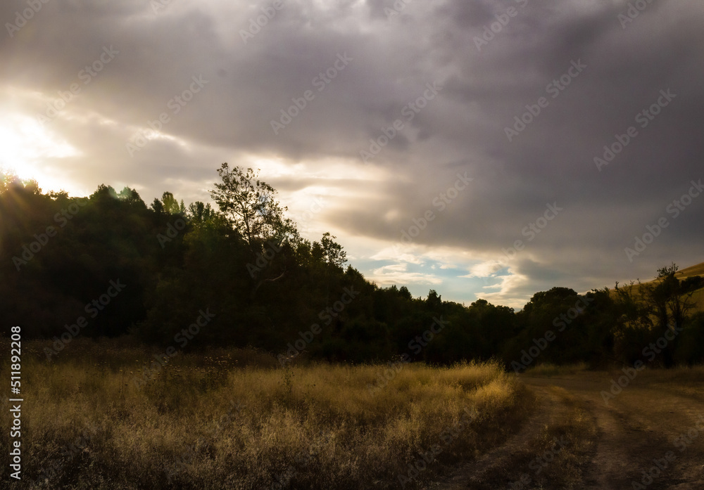 Trail Head at Dusk