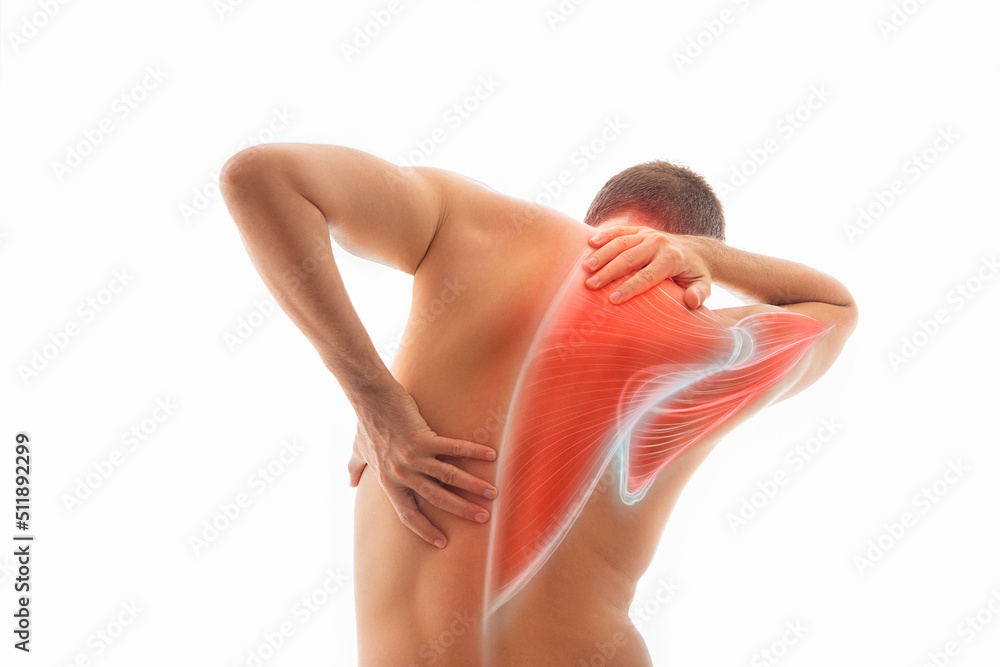 Back pain, male body torso back view, human trapezius muscle illustration - obrazy, fototapety, plakaty 