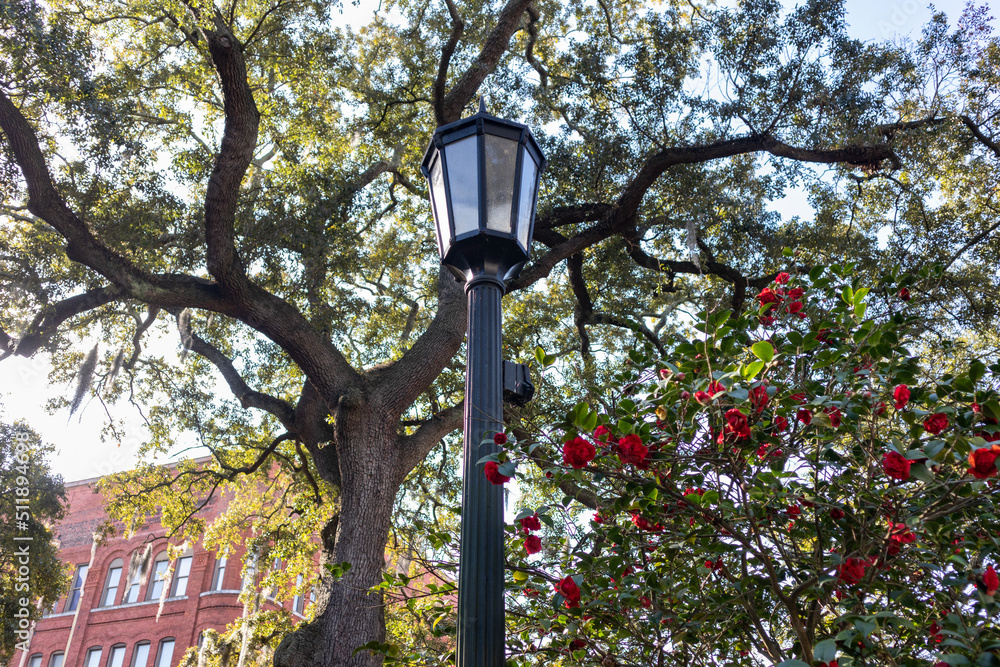 Park Light and Green Trees and Flowers at Wright Square in the Historic District of Savannah Georgia Park Light and Green Trees and Flowers at Wright Square in the Historic District of Savannah Georgia