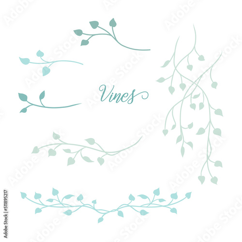 Set of vines or leaves vector. Hand drawn sketch of plant stems or branches. Nature design elements. Elegant border or corner designs.