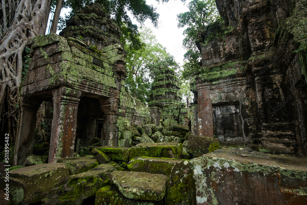 The unrestored Ta Prohm temple is dotted with green moss that dots Angkor Wat Siem Reap, Cambodia.
