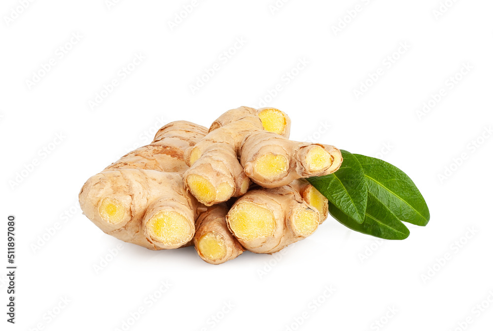 Ginger root isolated on a white background Ginger root isolated on a white background