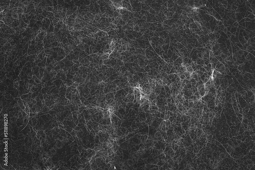 Foto Animal hair on black clothes background texture
