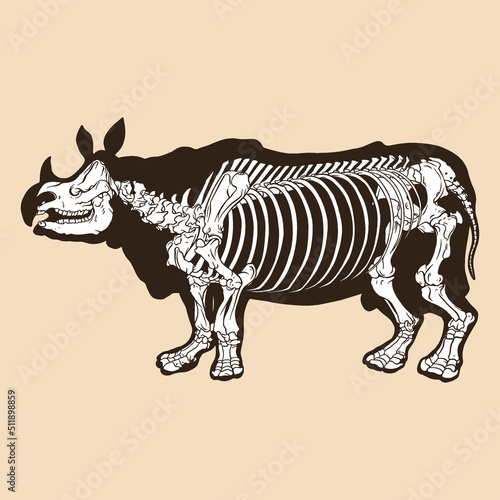 Skeleton rhino vector illustration
