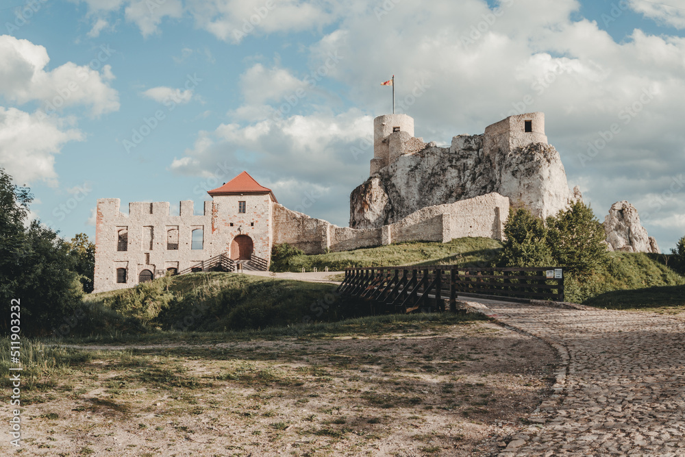 Ruins of the medieval castle in Rabsztyn. Cracow - Czestochowa Upland, Poland.