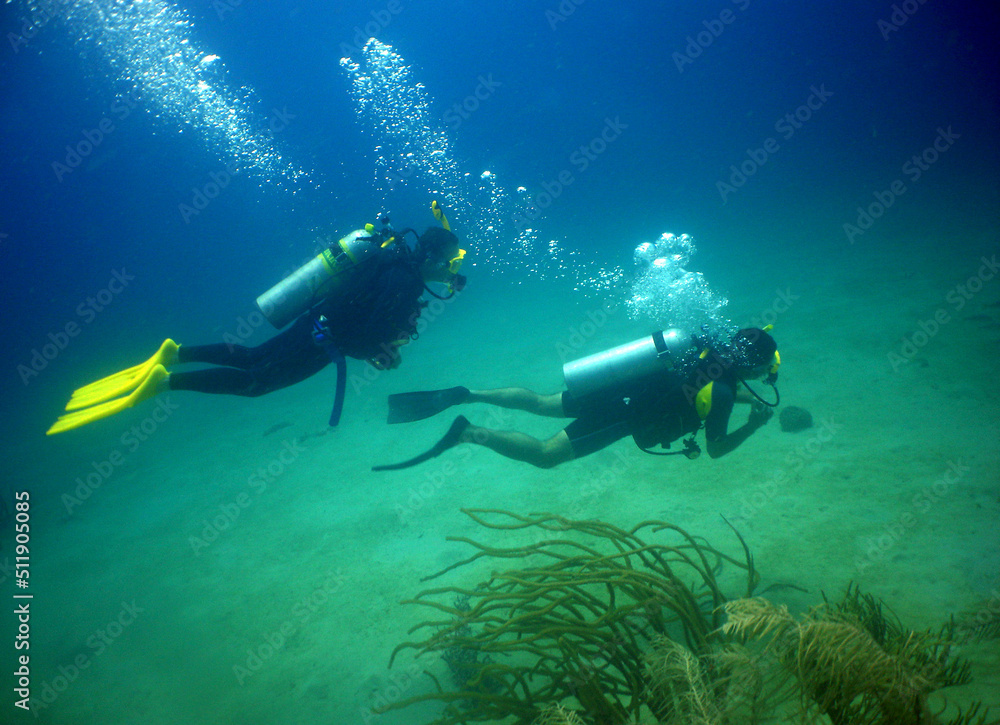 scuba divers in a coral reef in the caribbean sea scuba divers in a coral reef in the caribbean sea