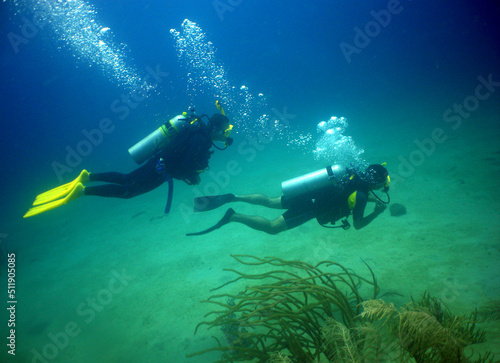 scuba divers in a coral reef in the caribbean sea