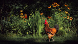rooster and flowers