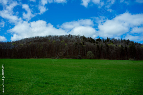 grass and blue sky