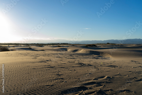 sand dunes on the beach