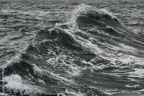 grosse vague de l'océan Atlantique photo