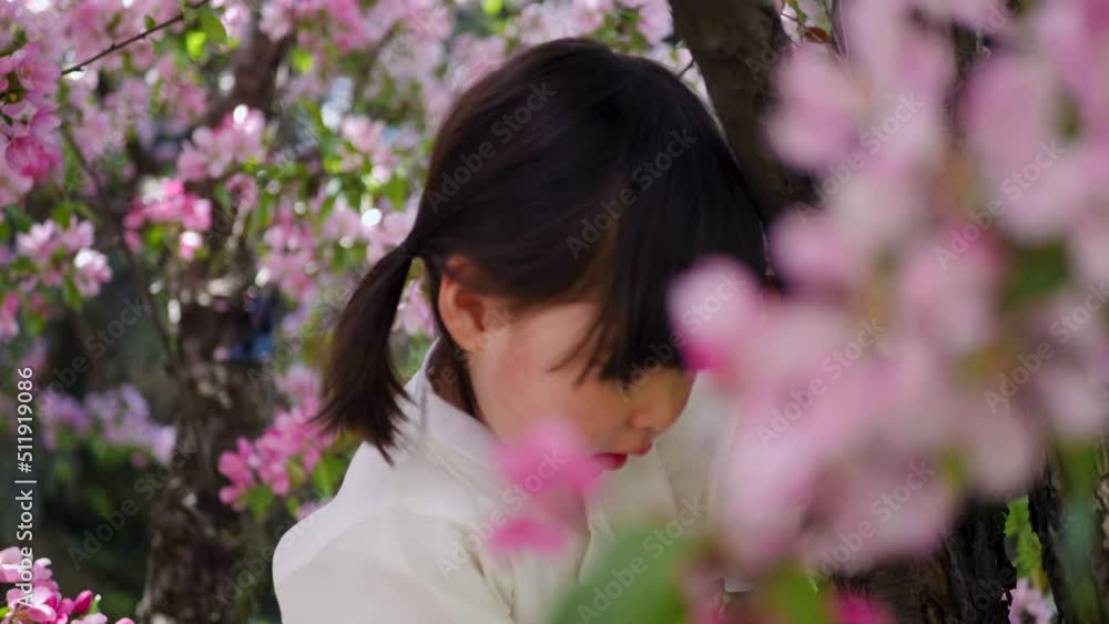 Korean girl child in a national costume sit on tree branch in a garden with cherry blossoms in spring Korean girl child in a national costume sit on tree branch in a garden with cherry blossoms in spring