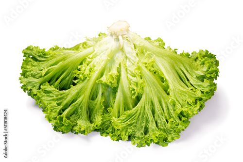 Photos Fresh green leaves of lettuce plant isolated