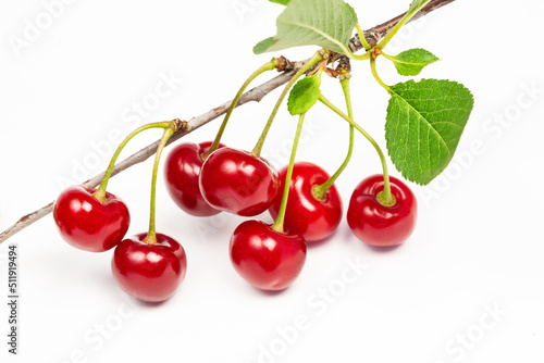 cherry berries and leaves on a twig on a white background.