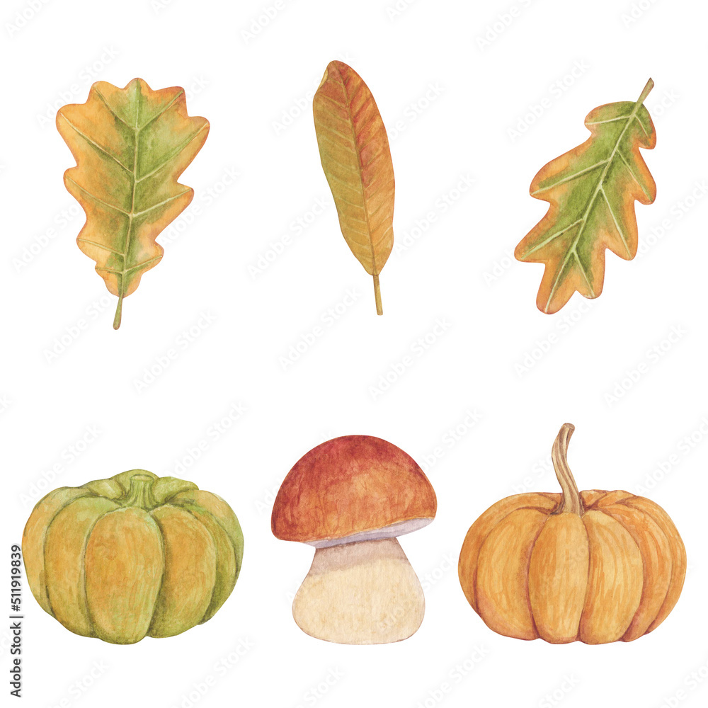 Watercolor set with autumn elements. Pumpkin, leaves, mushroom isolated on white background