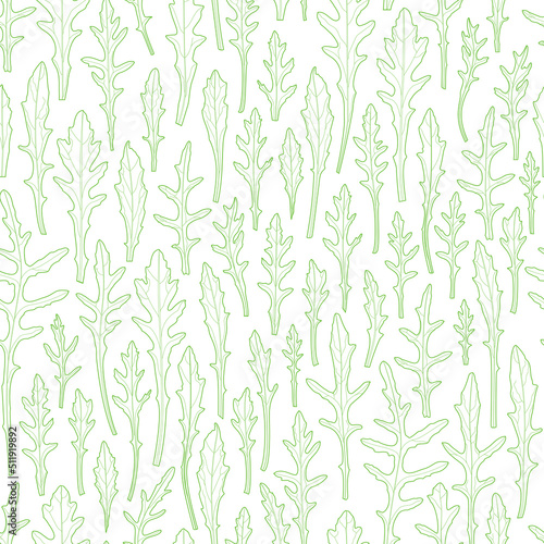 Seamless pattern of arugula lettuce leaves. linear drawing. on white background. botanical illustration. plant with elegant leaves. healthy eating