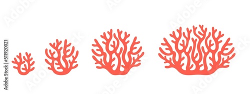 Fotografiet Crop stages of coral. Isolated coral on white background
