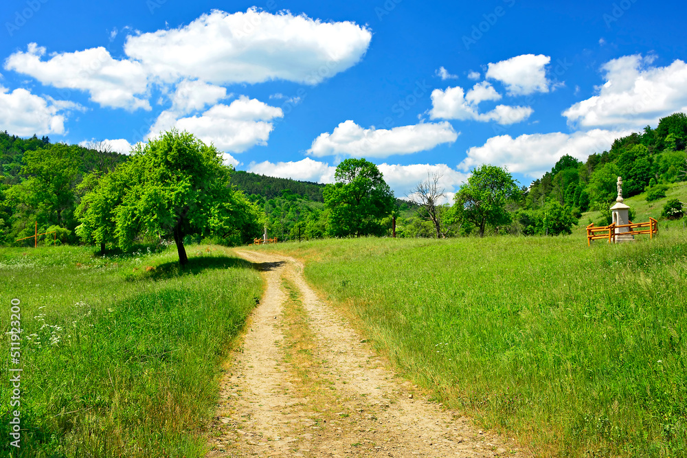 Naklejka premium Green fields, rural road, wayside shrine and mountains summer landscape, Nieznajowa, Low Beskids, Poland