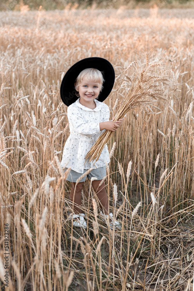 Portrait of a little girl in the wheat field. Beautiful portrait of a ...
