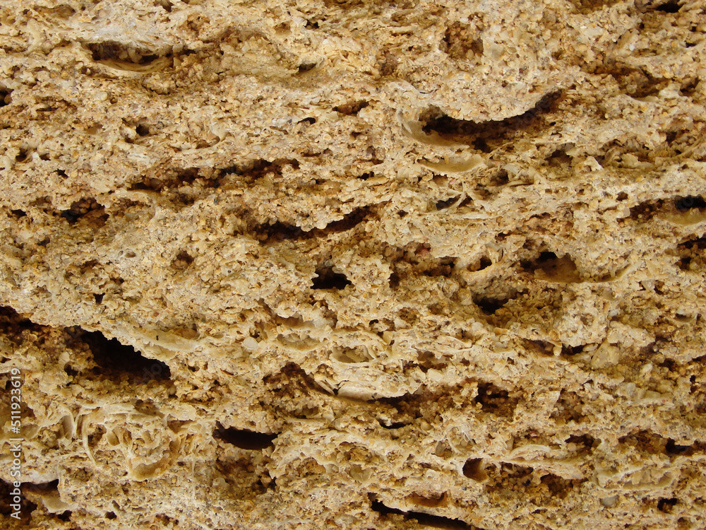 background texture of limestone stone surface. Shell limestone close-up as background background texture of limestone stone surface. Shell limestone close-up as background