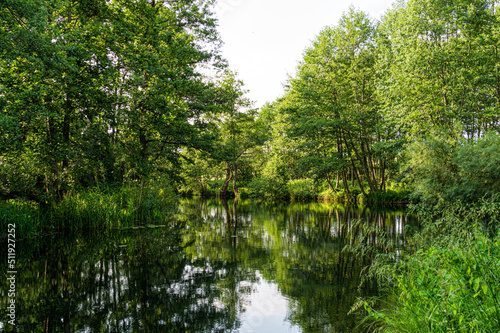 Rural landscape  river among green meadows 