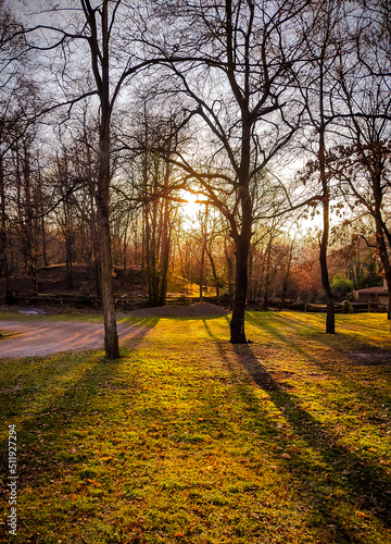 A beautiful sunset between trees.