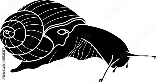 Black silhouette of Roman snail (Helix pomatia)