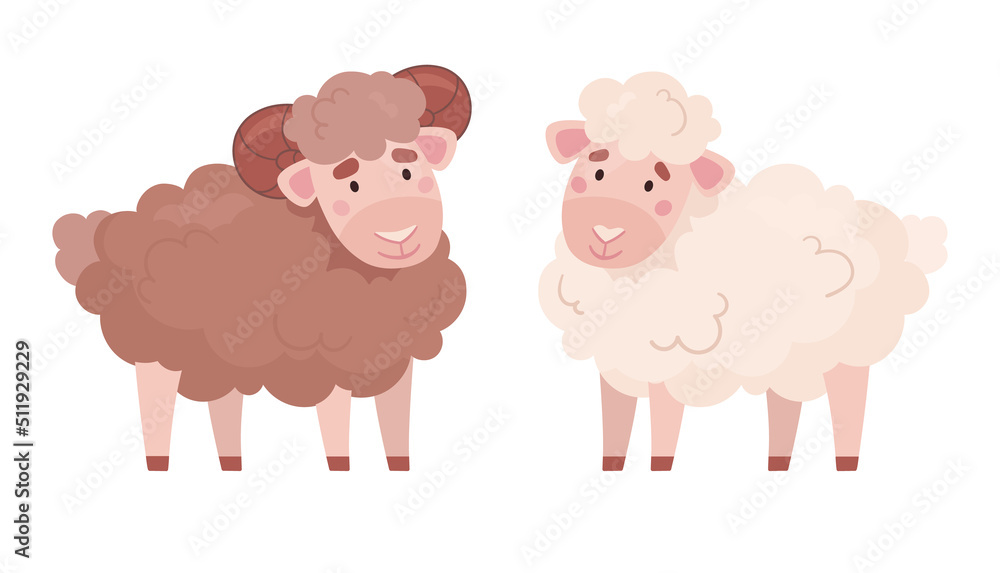 Fluffy ram and sheep, animal vector illustration in cartoon style. Set of cute farm animals. Fluffy ram and sheep, animal vector illustration in cartoon style. Set of cute farm animals.