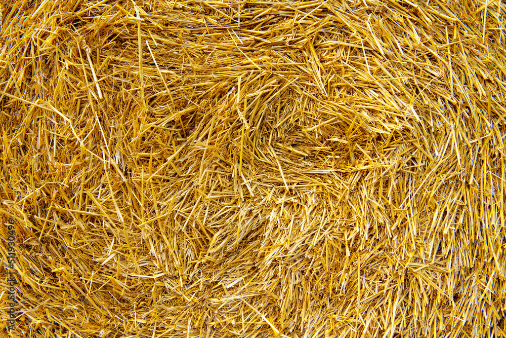 Hay texture. Hay bales are stacked in large stacks. Harvesting in agriculture. Hay texture. Hay bales are stacked in large stacks. Harvesting in agriculture.