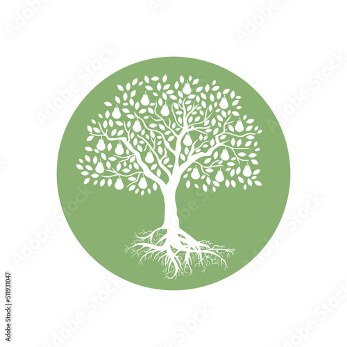 peer fruit tree svg icon