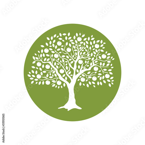 apple fruit tree svg icon