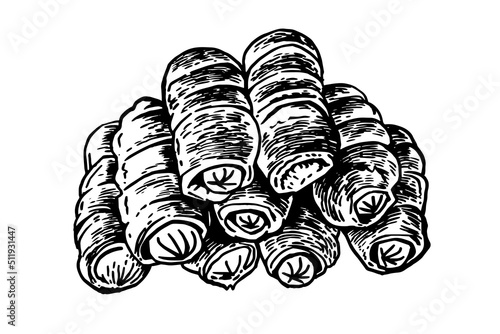Vector hand-drawn sausages in dought isolated on white, fast food 