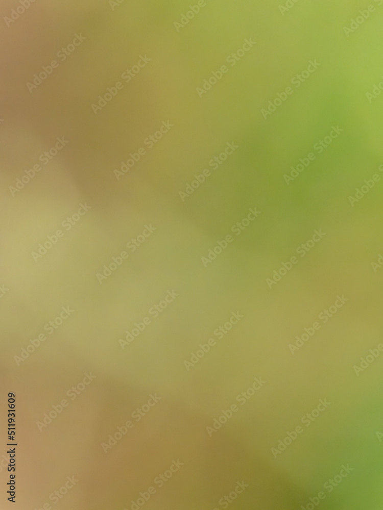 Pale green wall background or texture. Light green and soft grade empty recyclable paper texture peaceful background minimalism concept Pale green wall background or texture. Light green and soft grade empty recyclable paper texture peaceful background minimalism concept