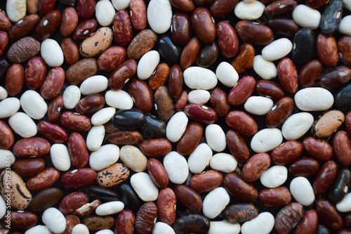 colorful background of bean seeds
