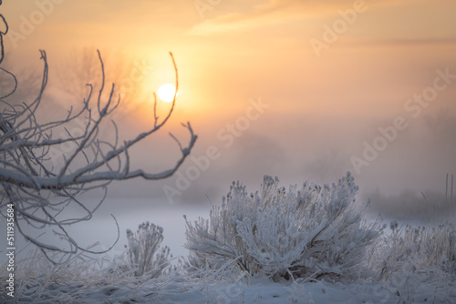 Obraz na plátně Winter Sunrise-Arapahoe Bend Ponds