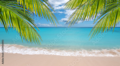 Palm branches in front of blurred sea. Tropical travel background.