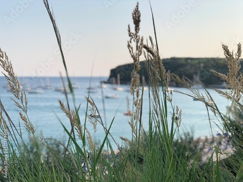 Flowers and sea.