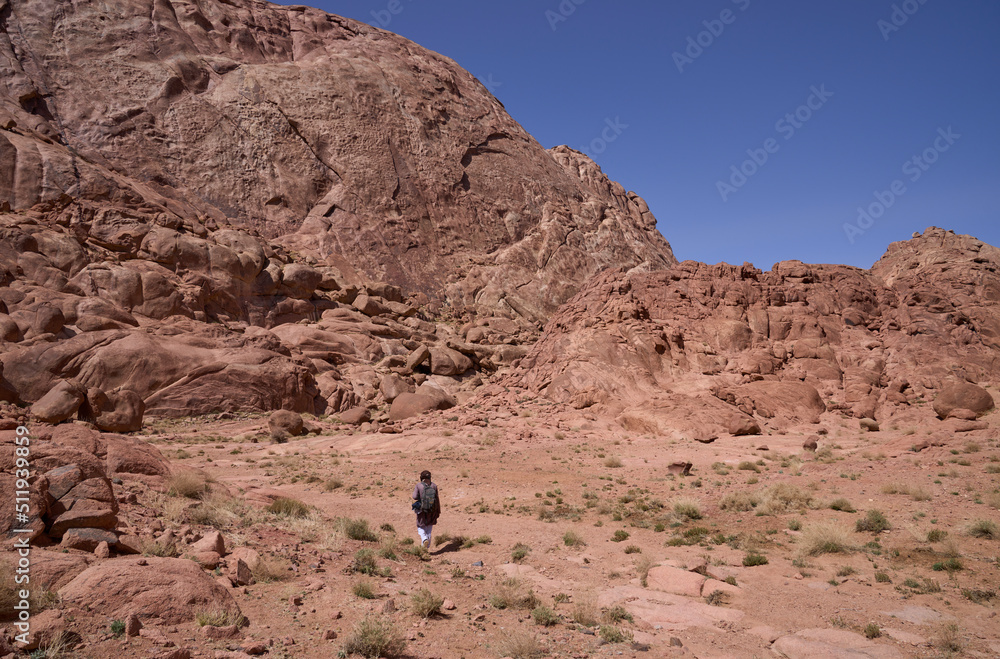 Local bedouin on its way in the high mountains region in Sinai, Egypt. Panoramic view on surrounding red mountains, rock walls and huge boulders of amazing forms. Authentic bedouin lifestyle.