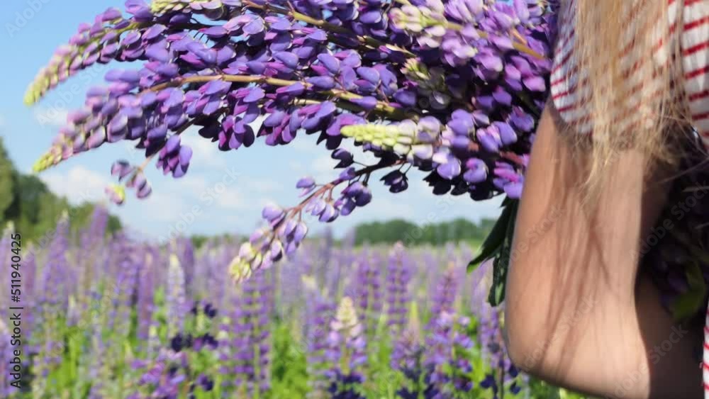 A beautiful girl with a bouquet of lupins in a straw hat walks through the field of lupins and smiles at the camera. Nice glare from the sun A beautiful girl with a bouquet of lupins in a straw hat walks through the field of lupins and smiles at the camera. Nice glare from the sun