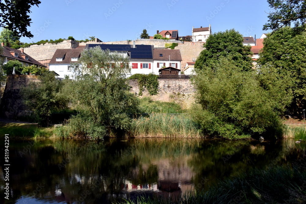 Wohnen am Wasser in Breisach