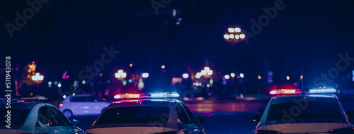 Fotografie, Tablou poice cars in the night city